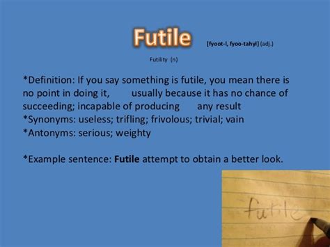 antonym of futile|opposite of futility.